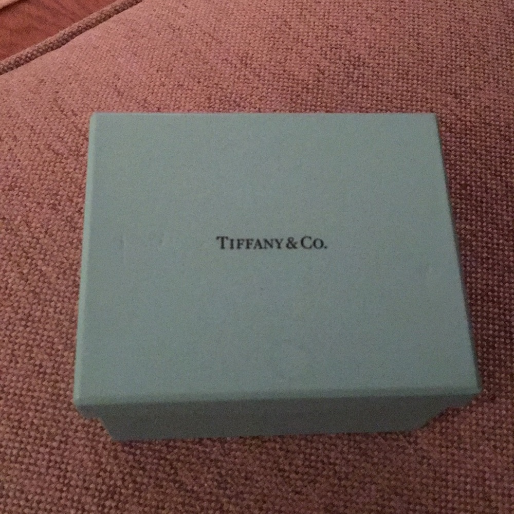 Tiffany & Co. White gold mesh bangle